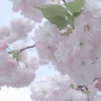 兽设四季场景绘制福瑞交流群